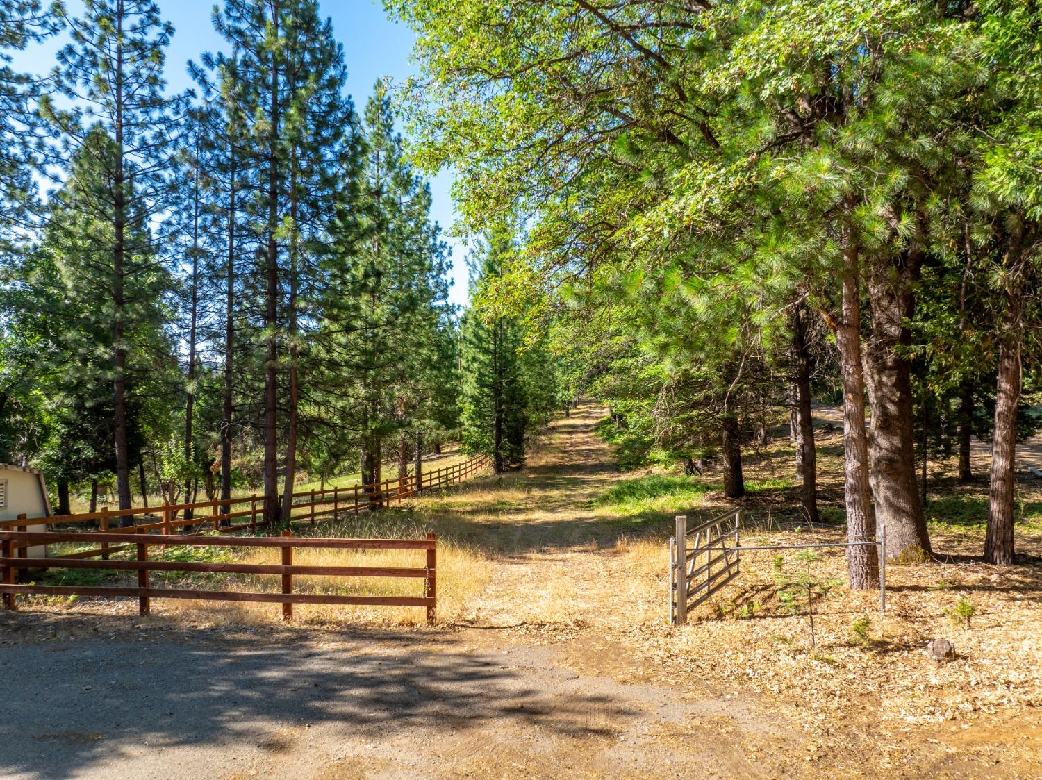 Detail Gallery Image 3 of 51 For 0 Starkes Grade Rd, Pollock Pines,  CA 95726 - – Beds | – Baths