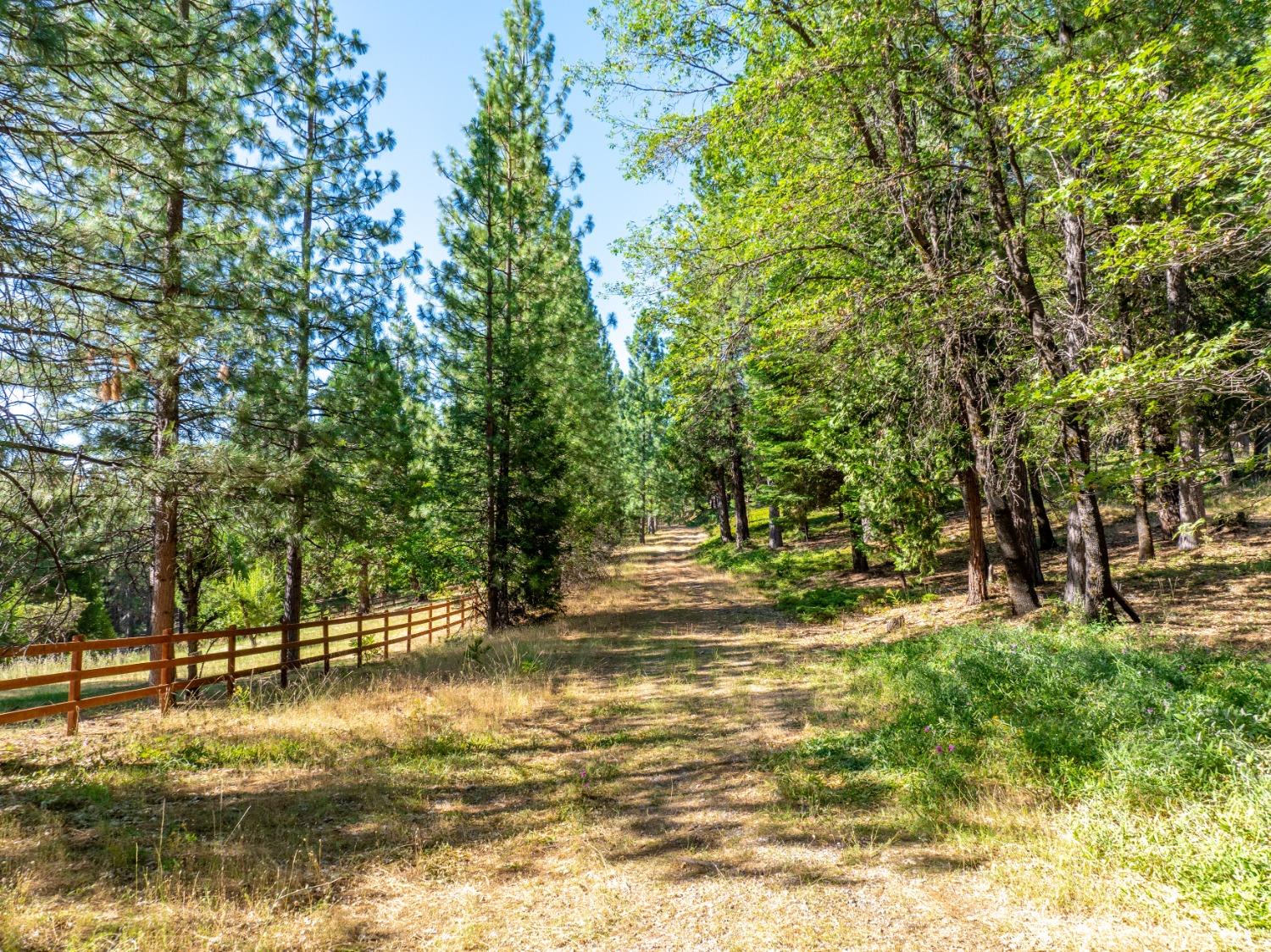 Detail Gallery Image 7 of 51 For 0 Starkes Grade Rd, Pollock Pines,  CA 95726 - – Beds | – Baths