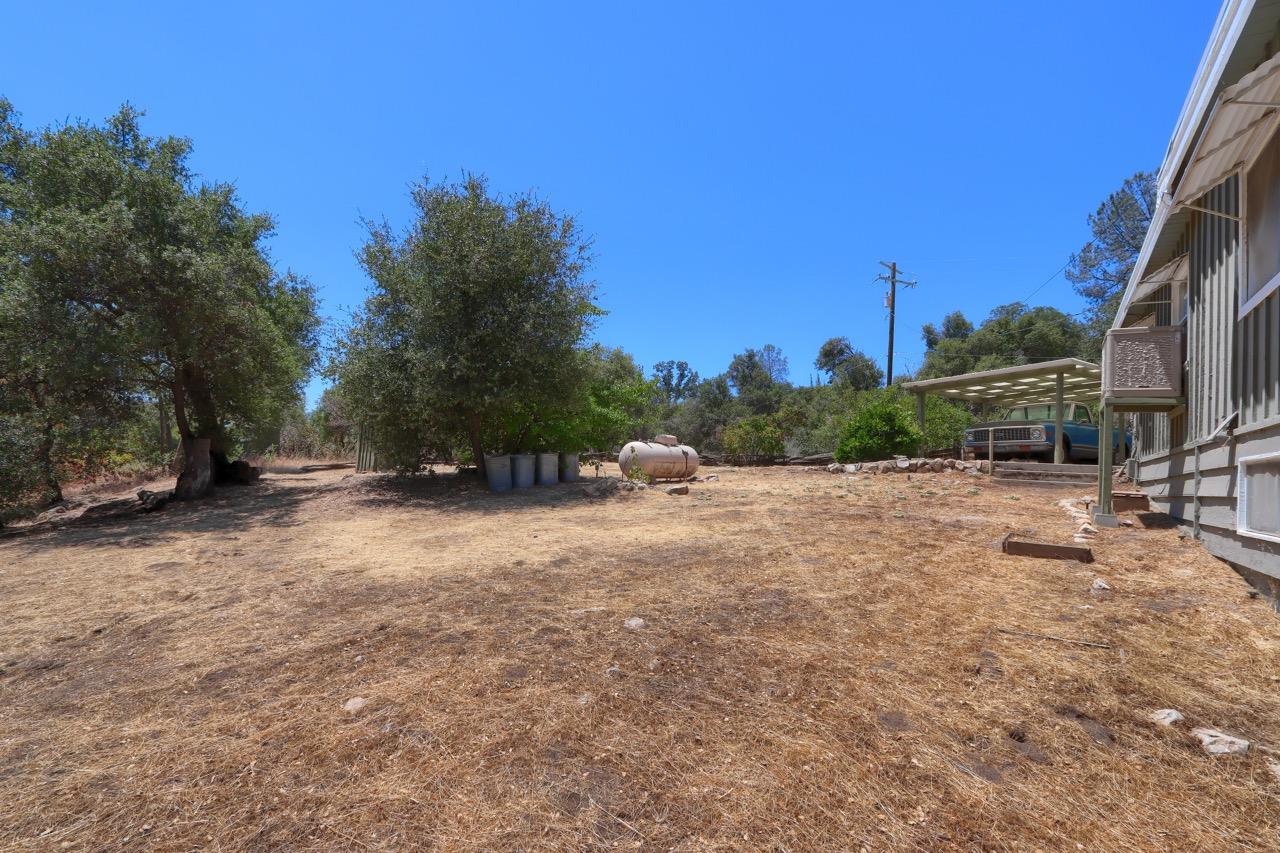 Lilac Lane, Oakhurst, California image 35