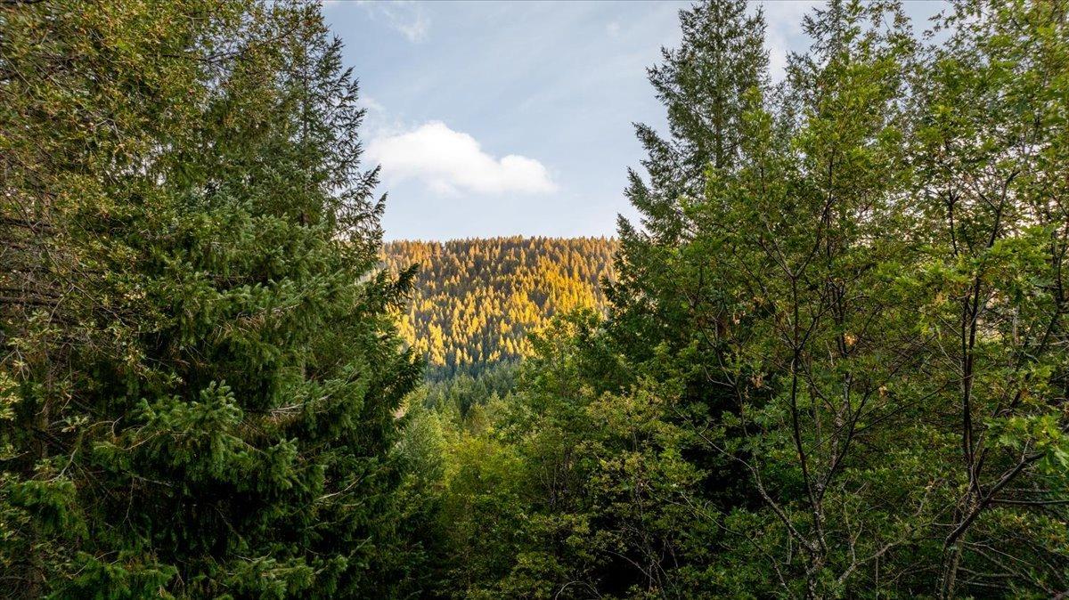 Detail Gallery Image 24 of 51 For 21293 Scotts Flat Rd., Nevada City,  CA 95959 - 4 Beds | 4/2 Baths