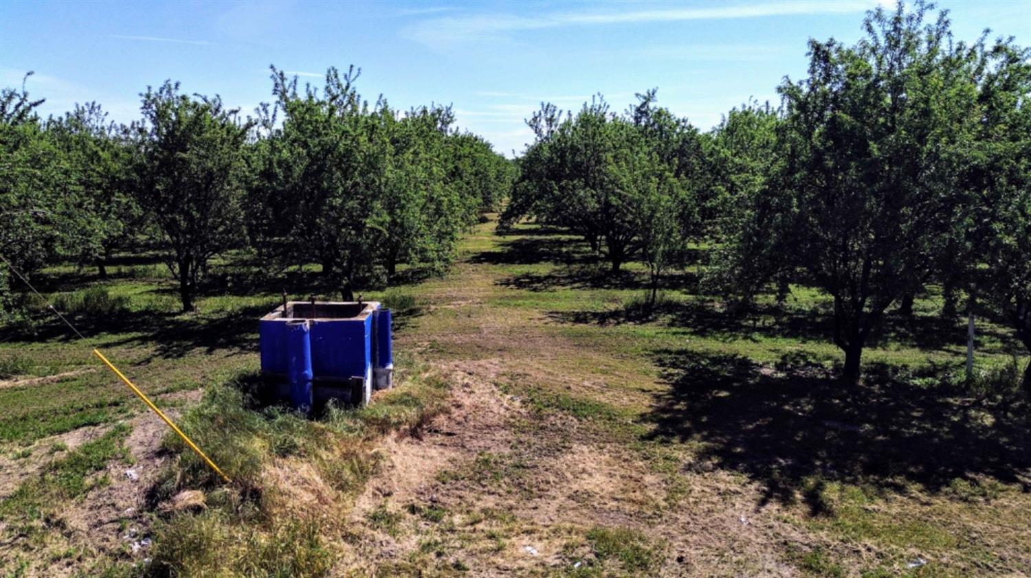 Vine Avenue, Winton, California image 14