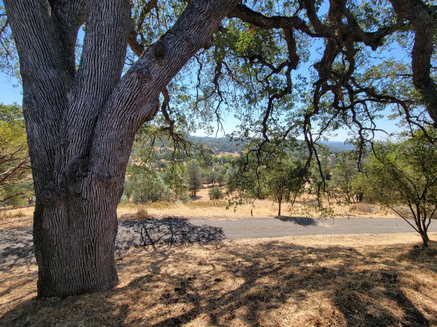 Tango Road, Placerville, California image 31