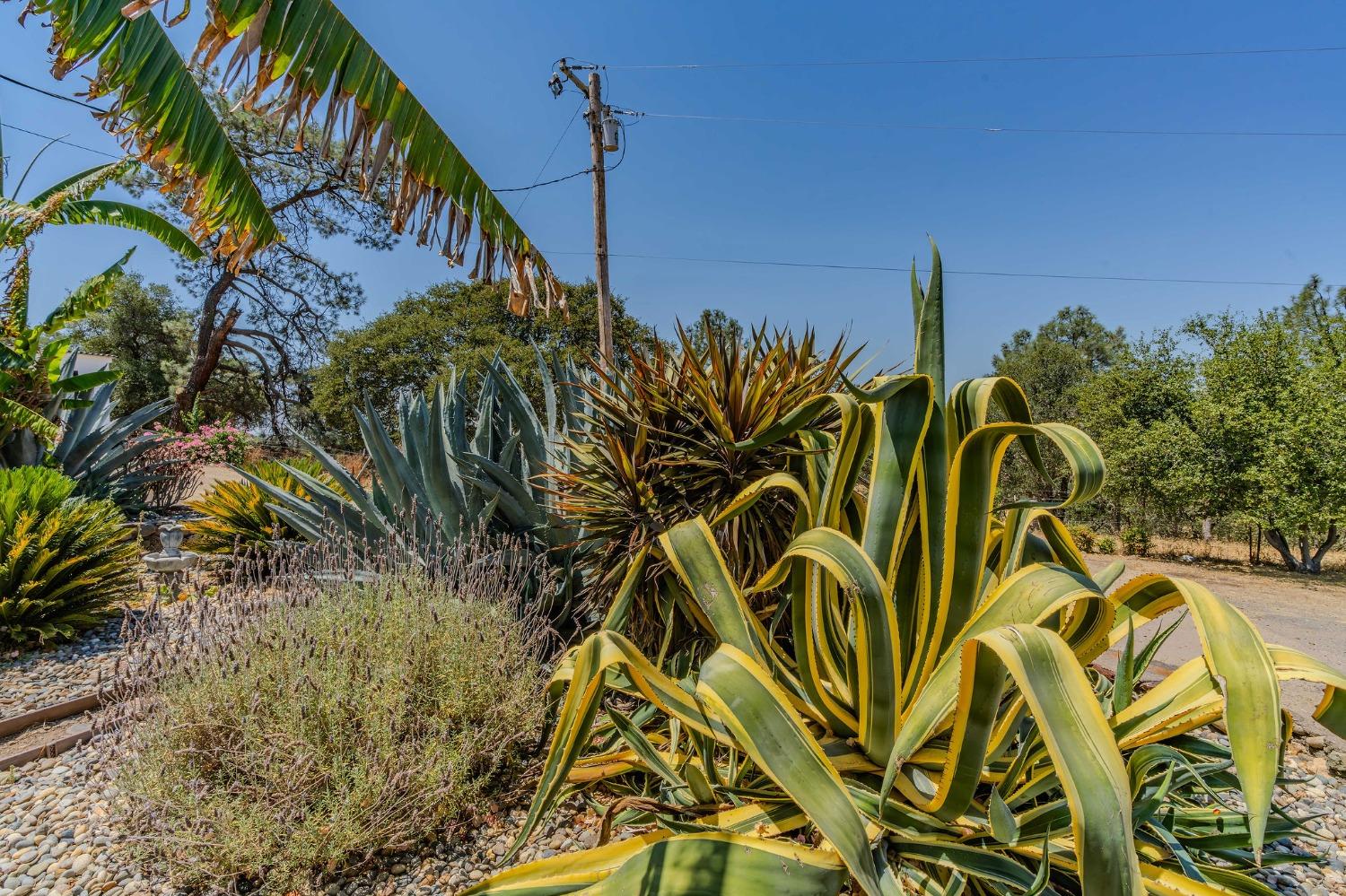 Detail Gallery Image 49 of 88 For 178 Carmel Rd, Burson,  CA 95225 - 2 Beds | 1 Baths