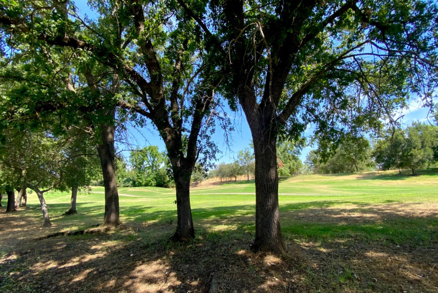 Detail Gallery Image 35 of 48 For 15004 Reynosa Dr, Rancho Murieta,  CA 95683 - 4 Beds | 2/1 Baths