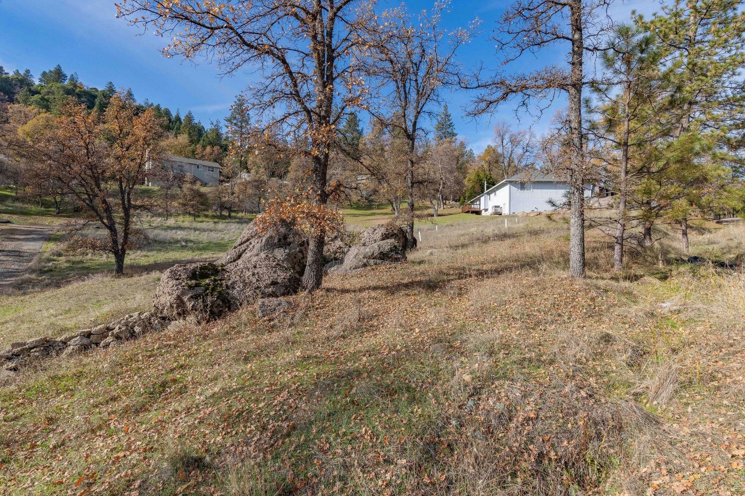 Forrest Oak Road, Pioneer, California image 8