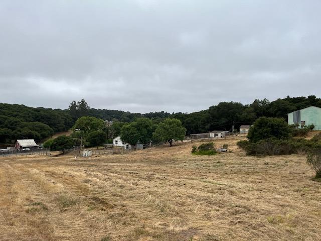 Walker Valley Road, Castroville, California image 6