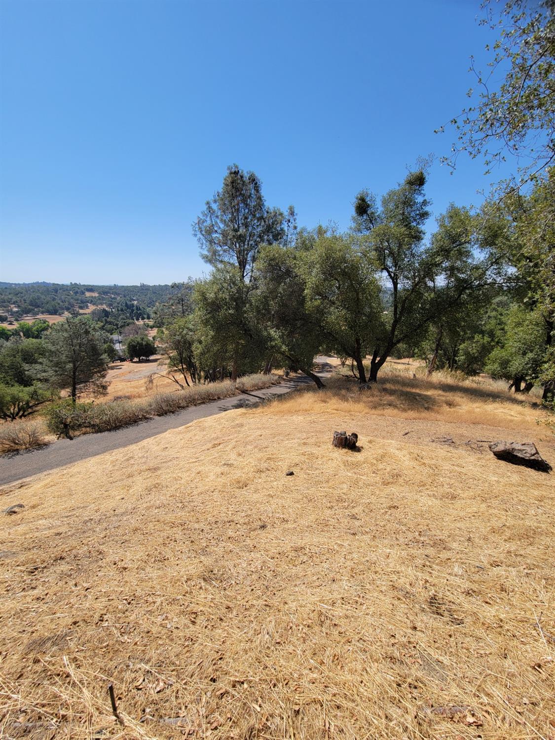 Tango Road, Placerville, California image 7