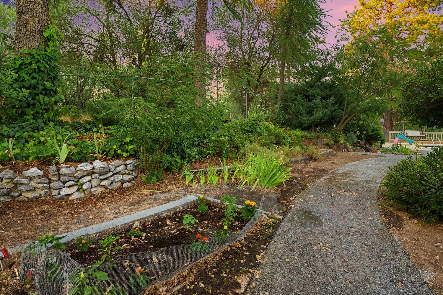 Detail Gallery Image 52 of 66 For 4325 Larkin Mine Rd, Diamond Springs,  CA 95619 - 4 Beds | 3 Baths