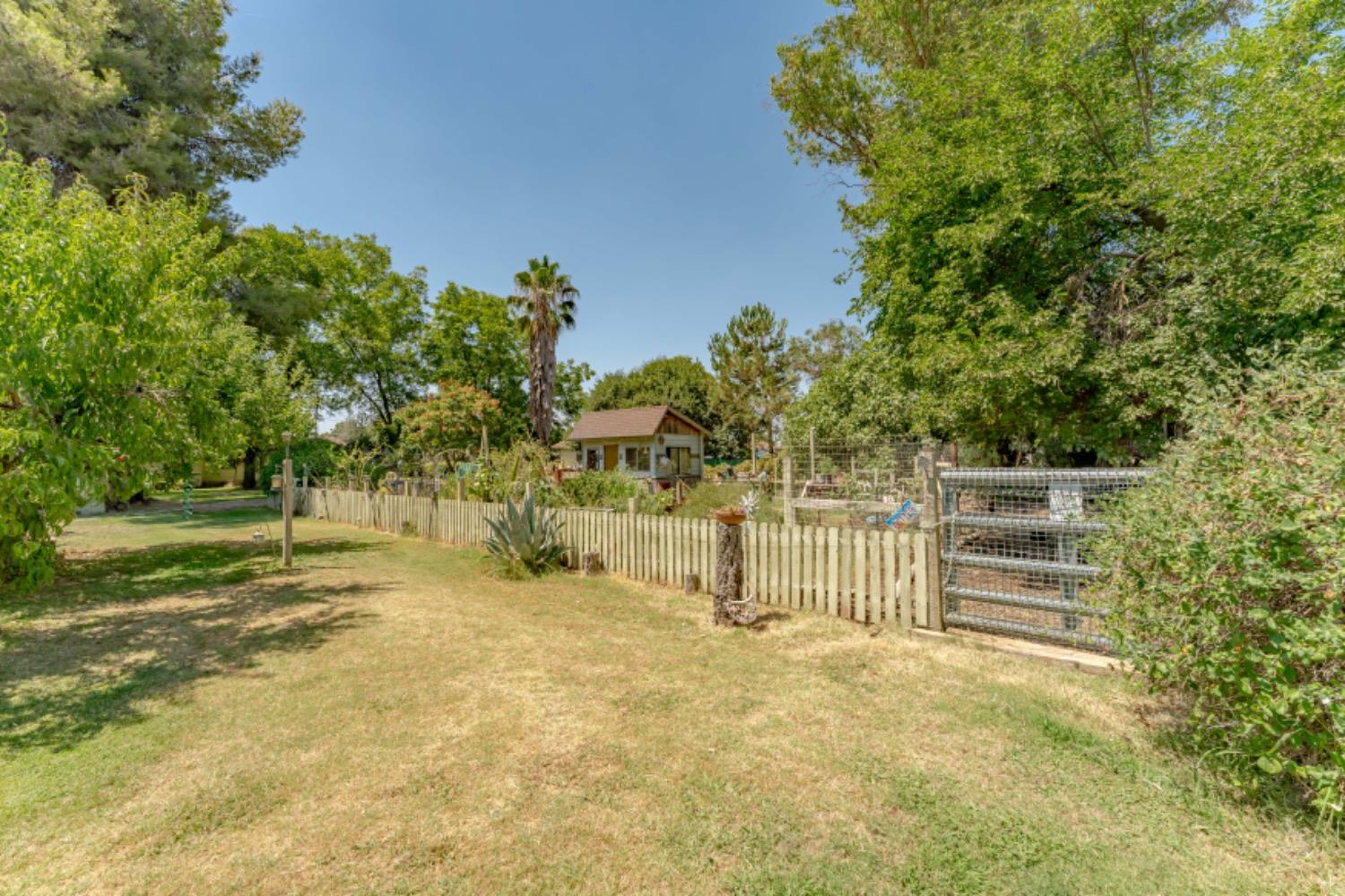 Dan Avenue, Olivehurst, California image 45