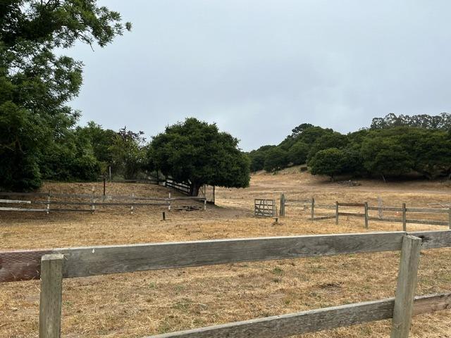 Walker Valley Road, Castroville, California image 5