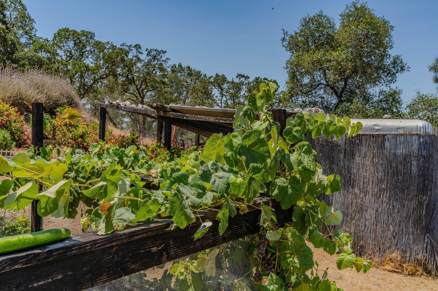 Detail Gallery Image 67 of 88 For 178 Carmel Rd, Burson,  CA 95225 - 2 Beds | 1 Baths