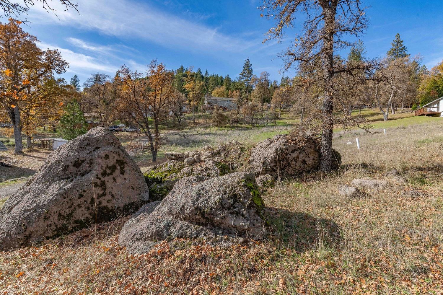 Detail Gallery Image 3 of 24 For 27276 Forrest Oak Rd, Pioneer,  CA 95666 - – Beds | – Baths