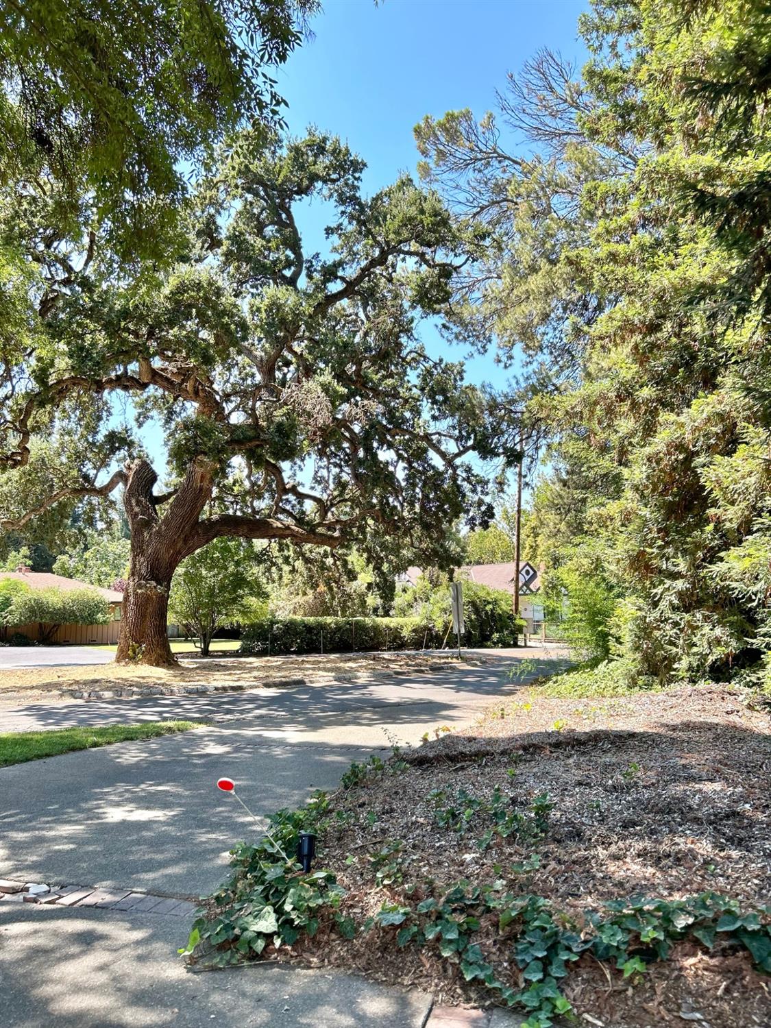 Detail Gallery Image 30 of 30 For 9475 Michelle, Stockton,  CA 95212 - 3 Beds | 3/2 Baths