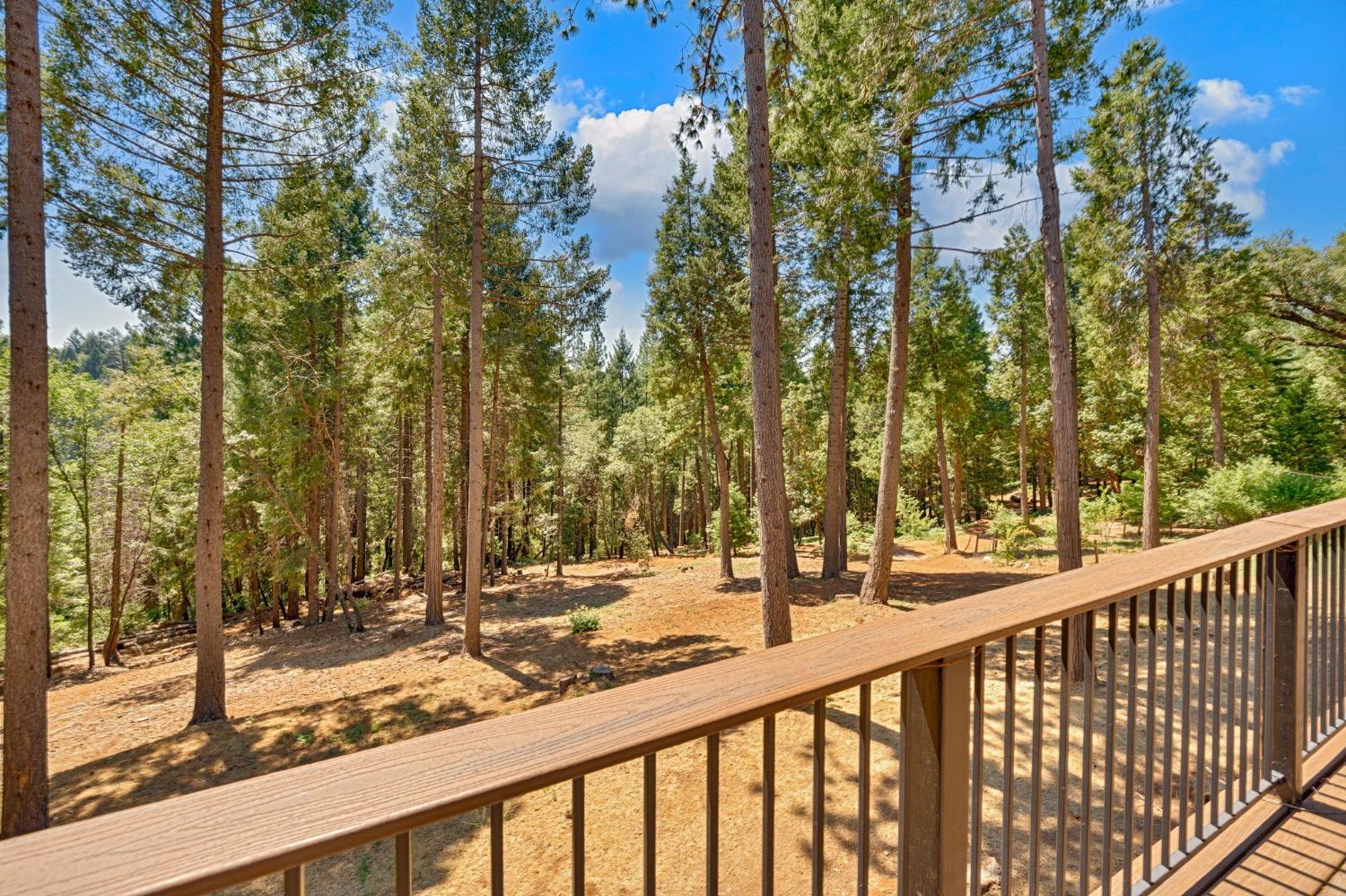 Detail Gallery Image 26 of 36 For 2501 Newhouse, Pollock Pines,  CA 95726 - 2 Beds | 1/2 Baths