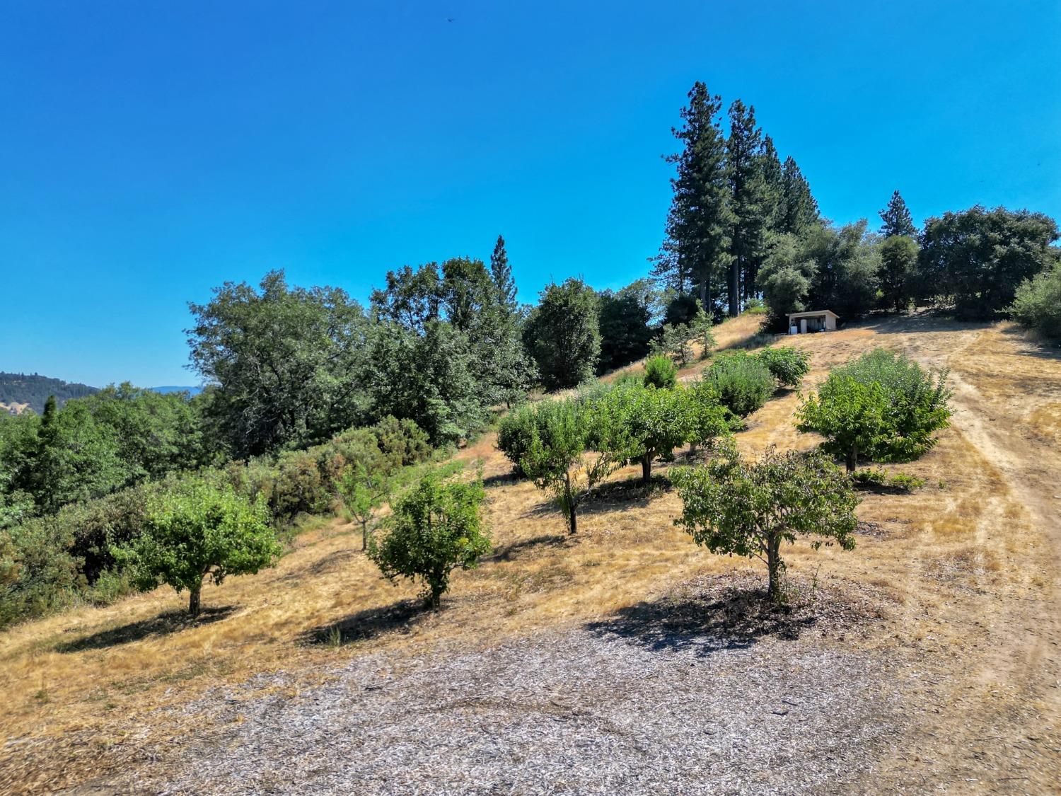 Detail Gallery Image 90 of 99 For 15160 Applewood Ln, Nevada City,  CA 95959 - 4 Beds | 4/1 Baths