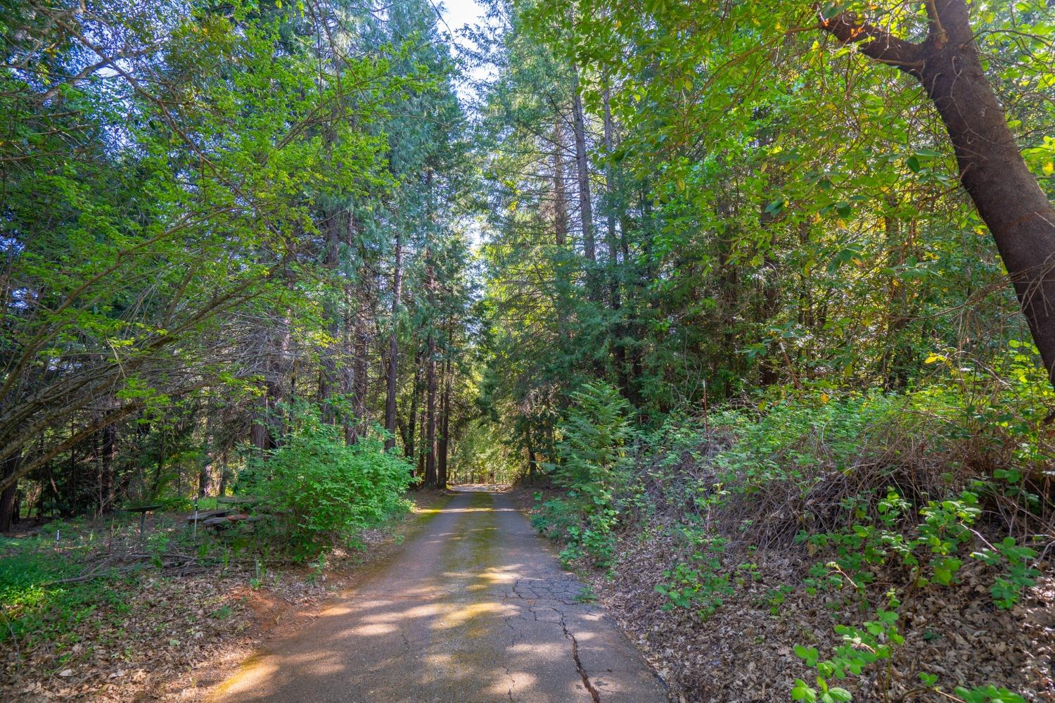 Challenge Cut Off Road, Forbestown, California image 33