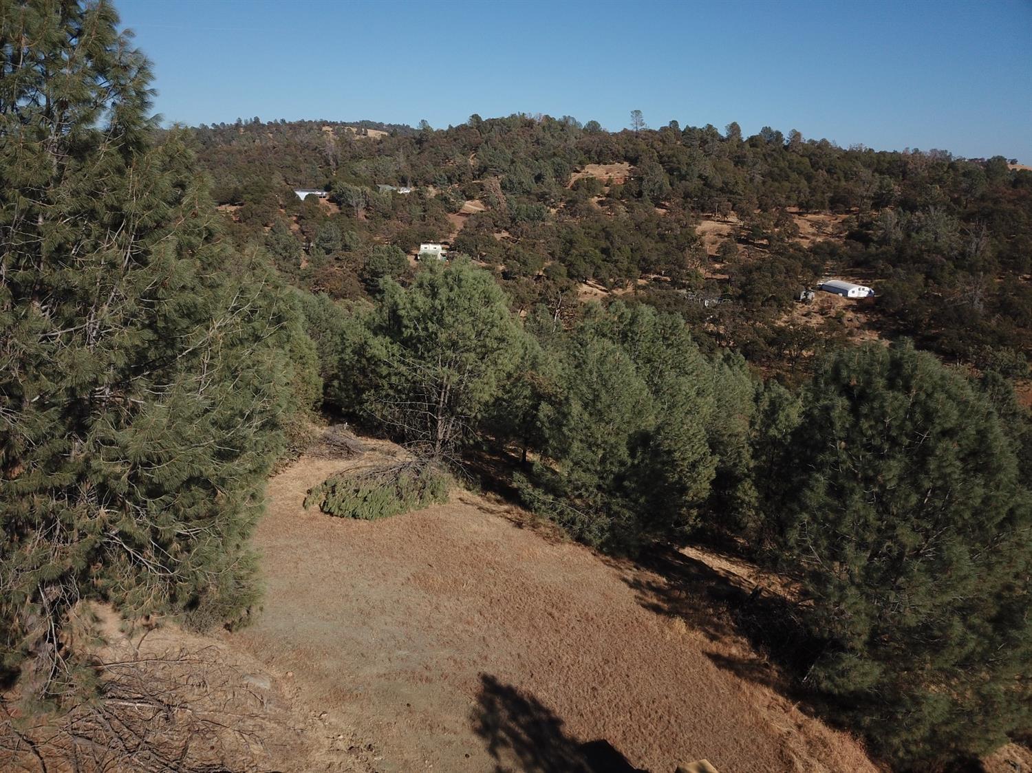 Angel Wing Lane, Smartsville, California image 8