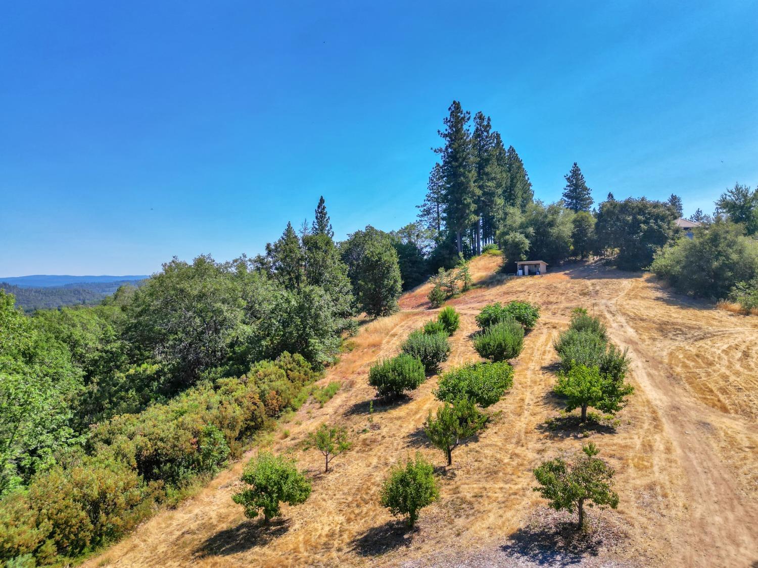 Detail Gallery Image 66 of 99 For 15160 Applewood Ln, Nevada City,  CA 95959 - 4 Beds | 4/1 Baths