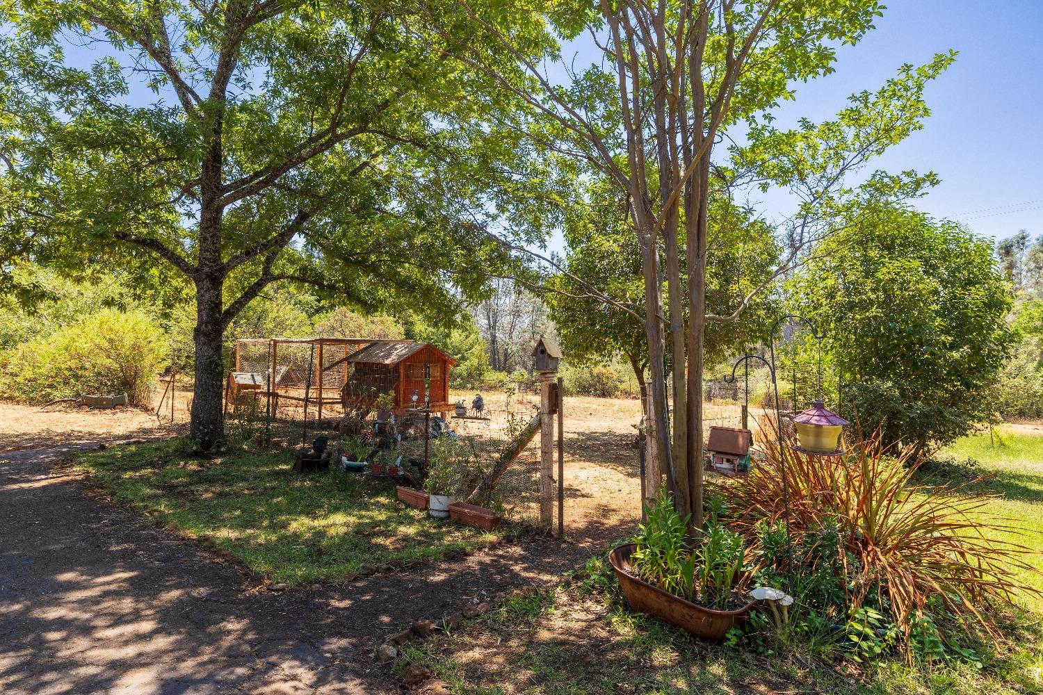 Highbury Lane, Shingle Springs, California image 5