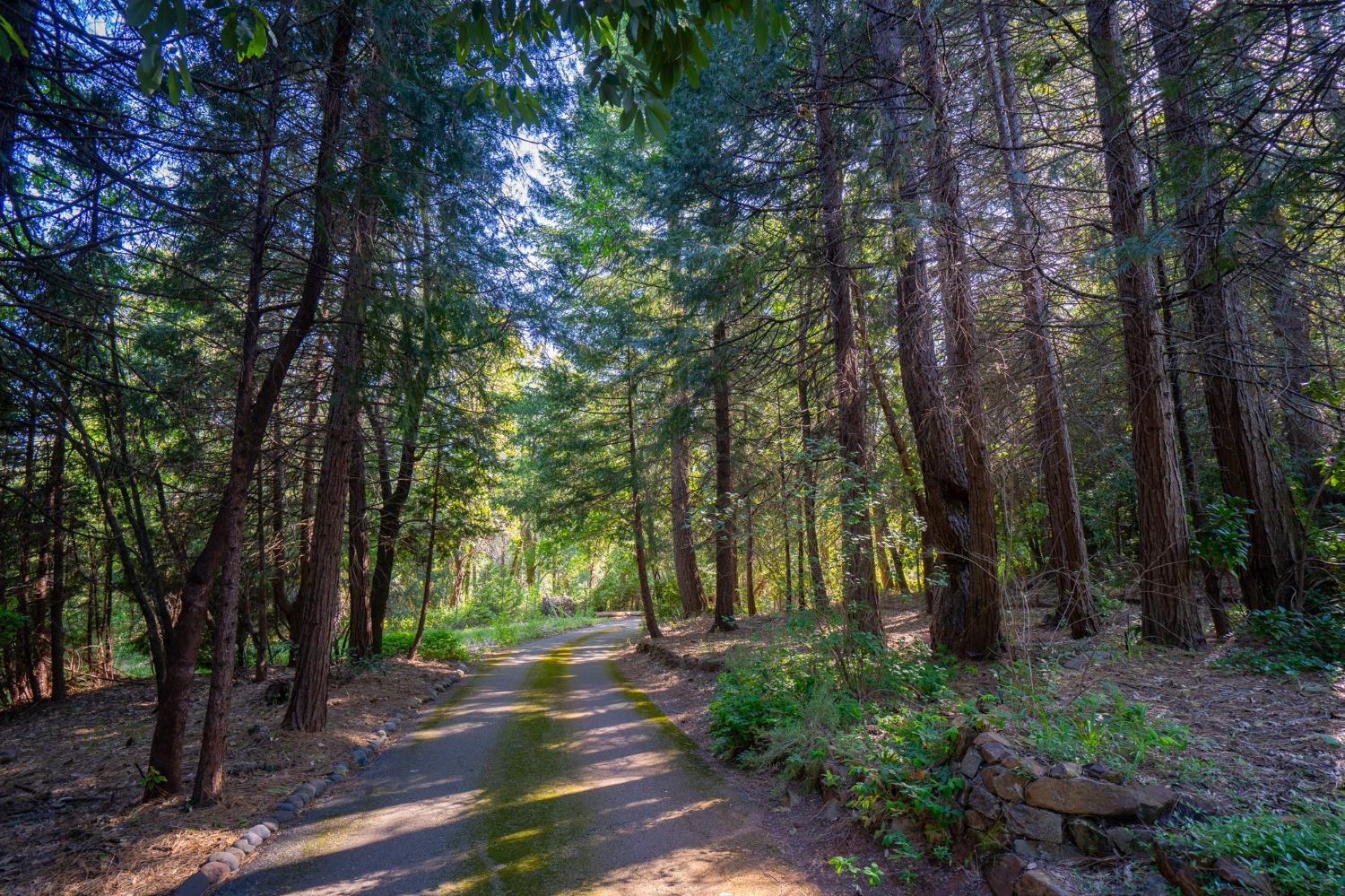 Challenge Cut Off Road, Forbestown, California image 34