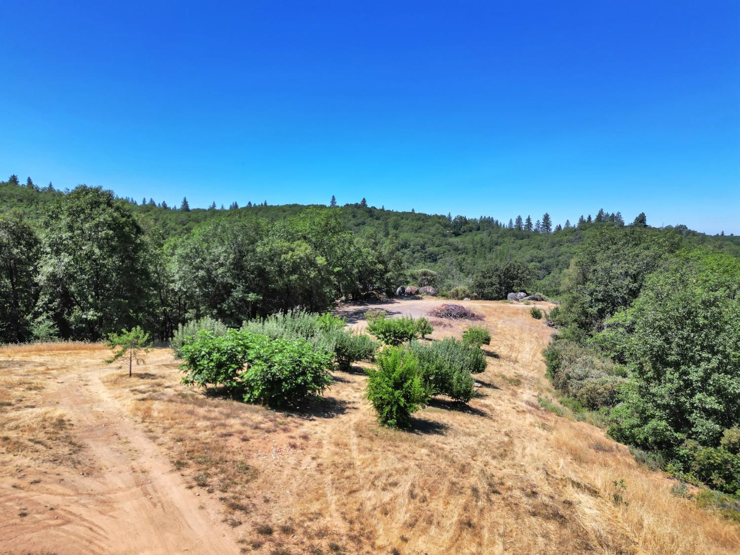 Detail Gallery Image 89 of 99 For 15160 Applewood Ln, Nevada City,  CA 95959 - 4 Beds | 4/1 Baths