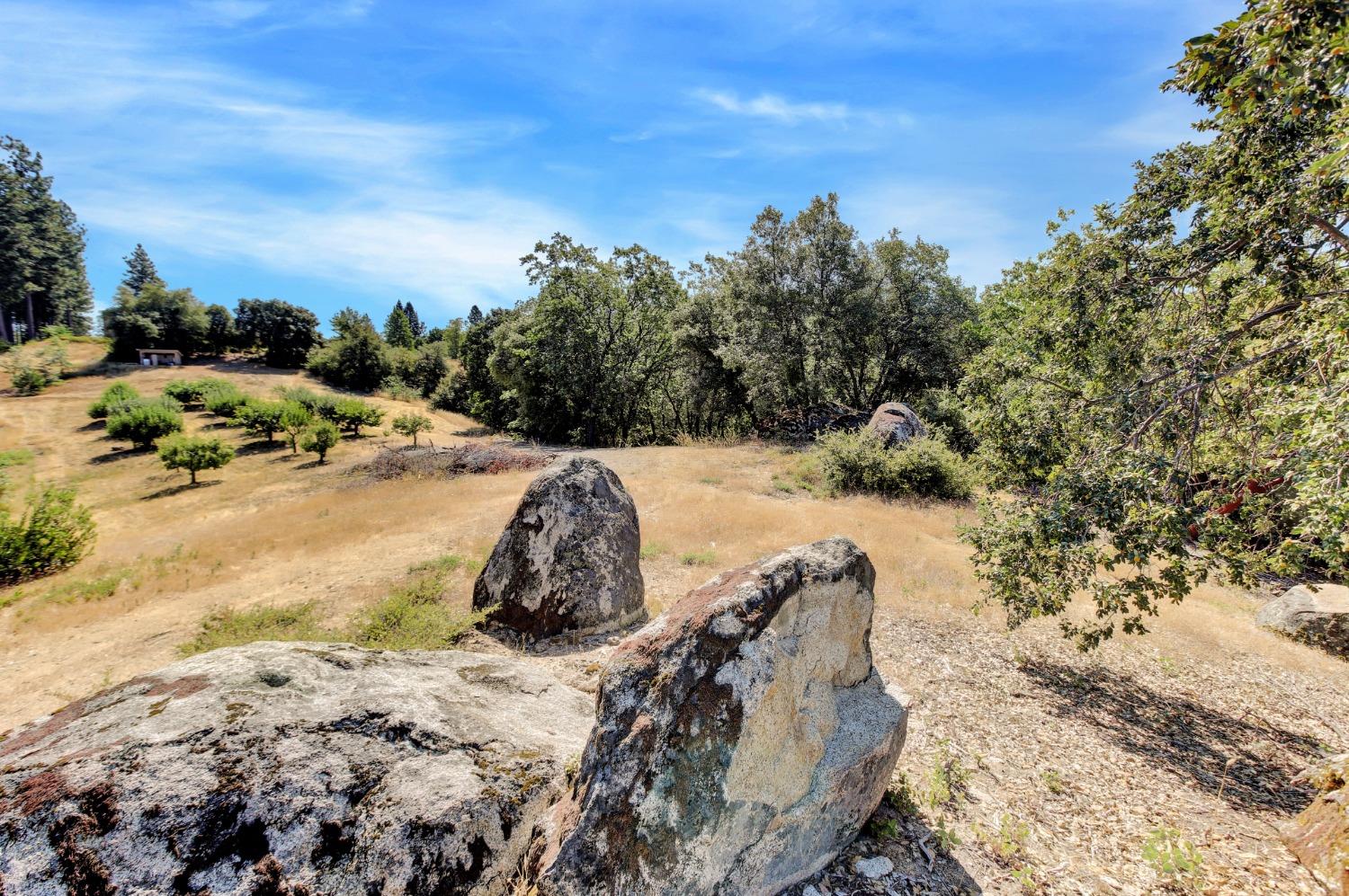 Detail Gallery Image 73 of 99 For 15160 Applewood Ln, Nevada City,  CA 95959 - 4 Beds | 4/1 Baths