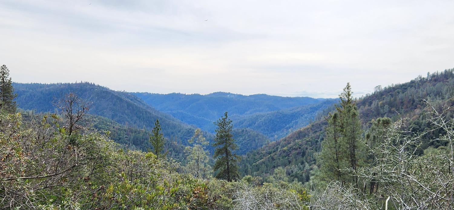 Quarry Turn Road, Foresthill, California image 5