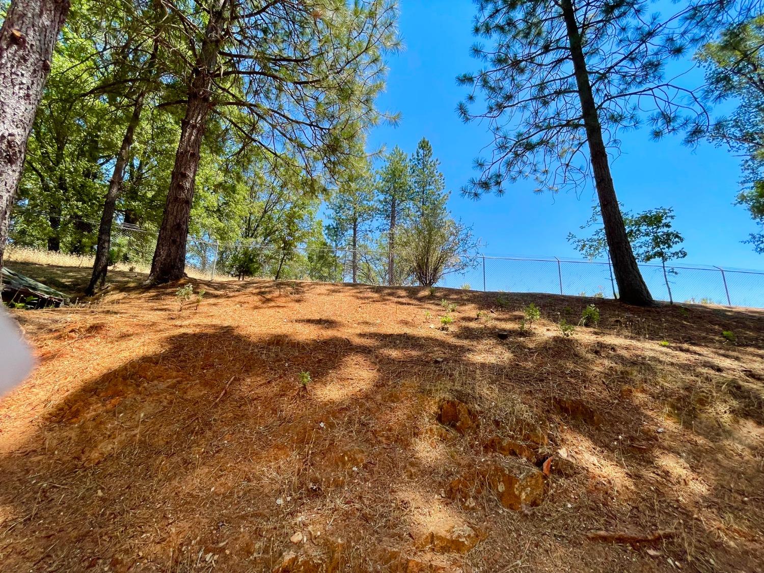 Railroad Flat Road, Mountain Ranch, California image 7