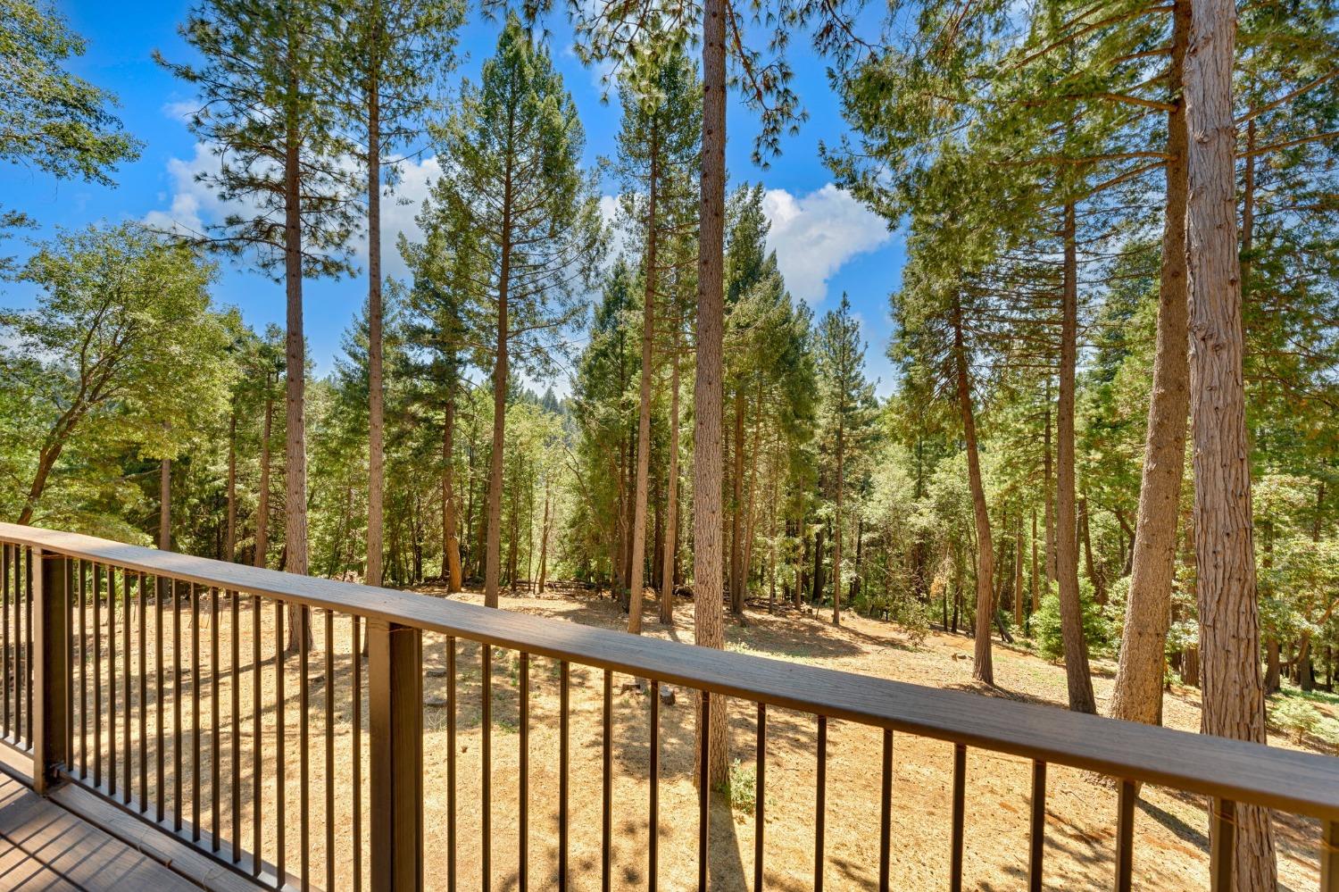 Detail Gallery Image 25 of 36 For 2501 Newhouse, Pollock Pines,  CA 95726 - 2 Beds | 1/2 Baths