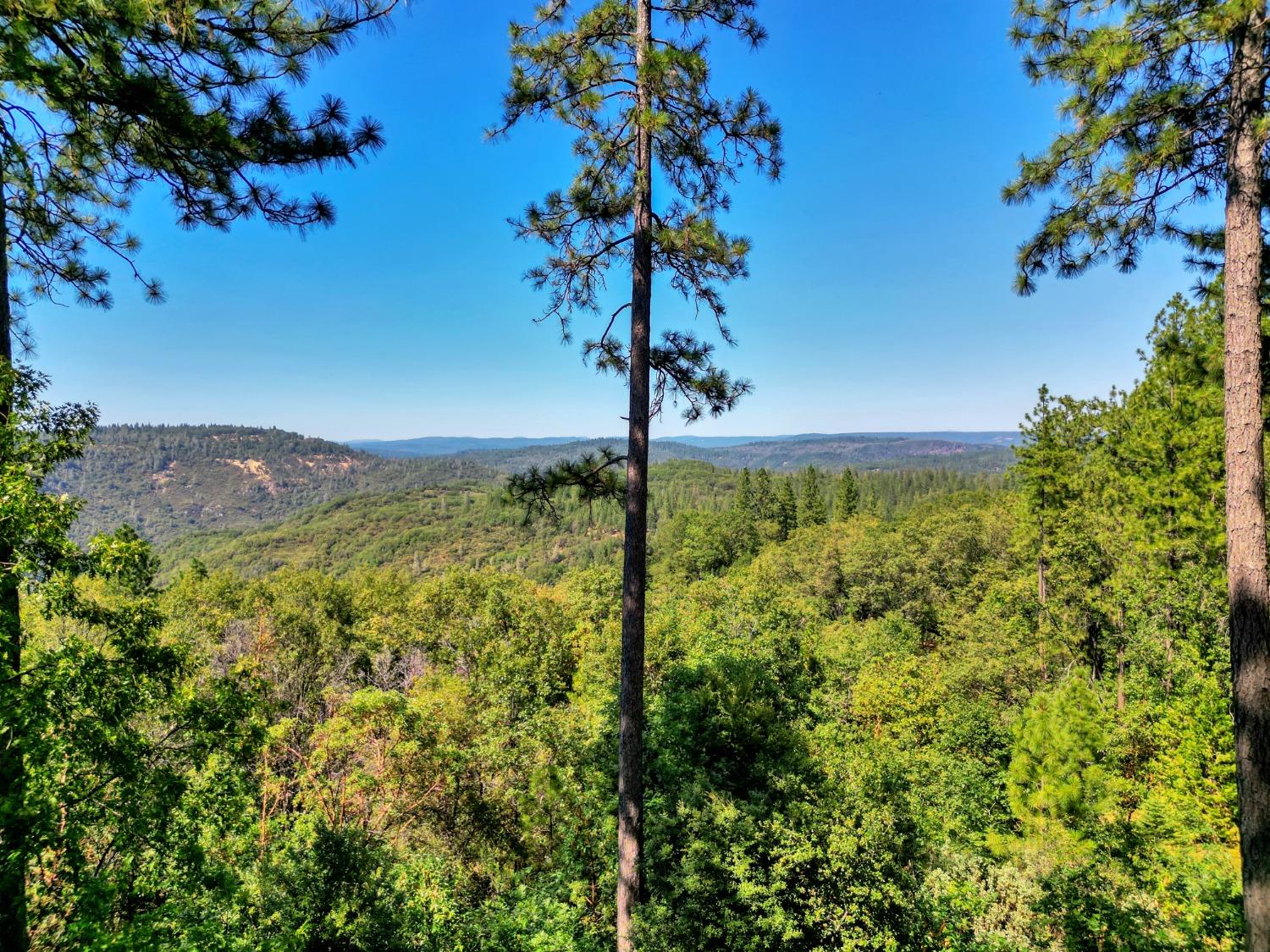 Detail Gallery Image 68 of 99 For 15160 Applewood Ln, Nevada City,  CA 95959 - 4 Beds | 4/1 Baths