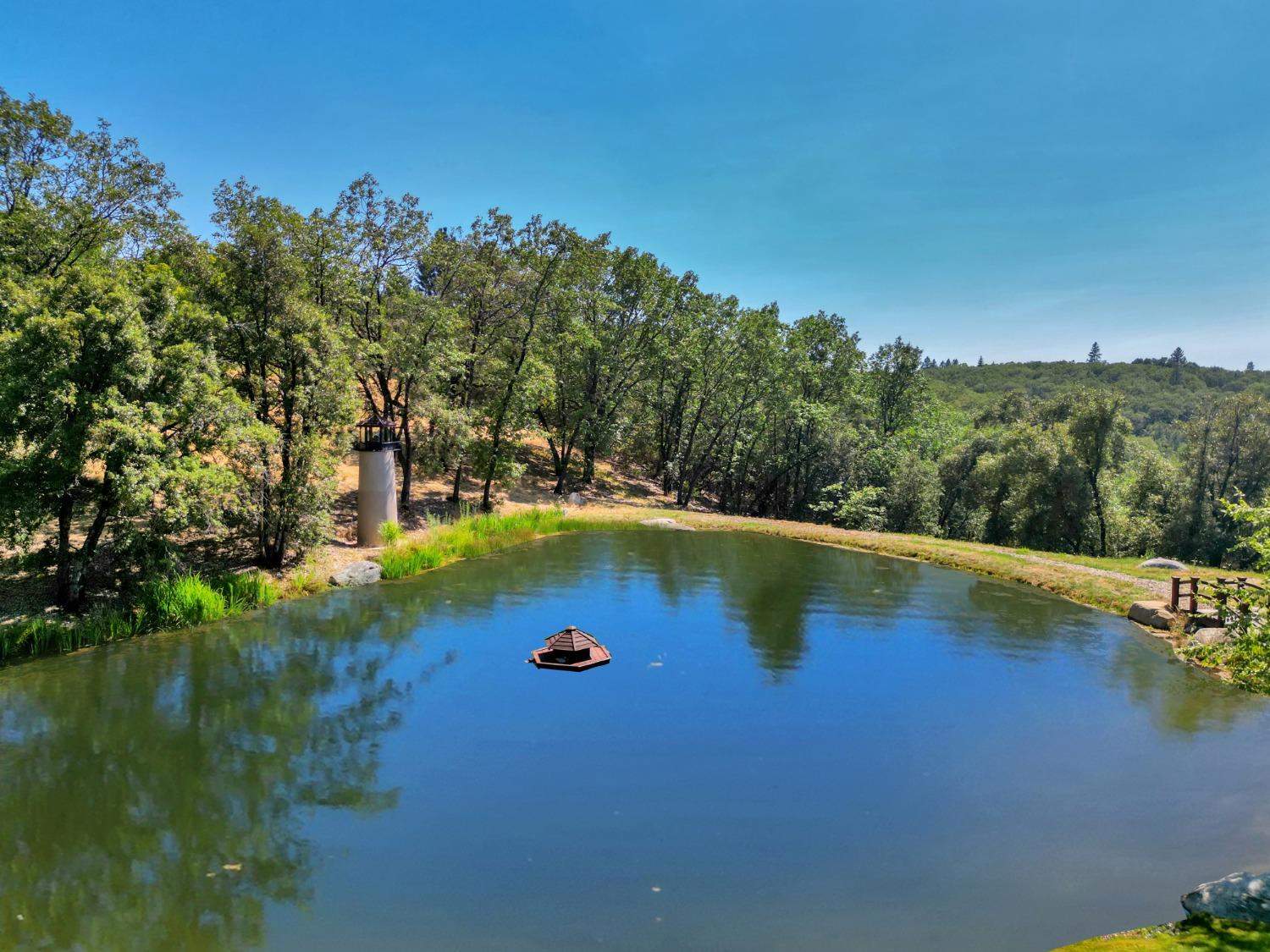 Detail Gallery Image 47 of 99 For 15160 Applewood Ln, Nevada City,  CA 95959 - 4 Beds | 4/1 Baths