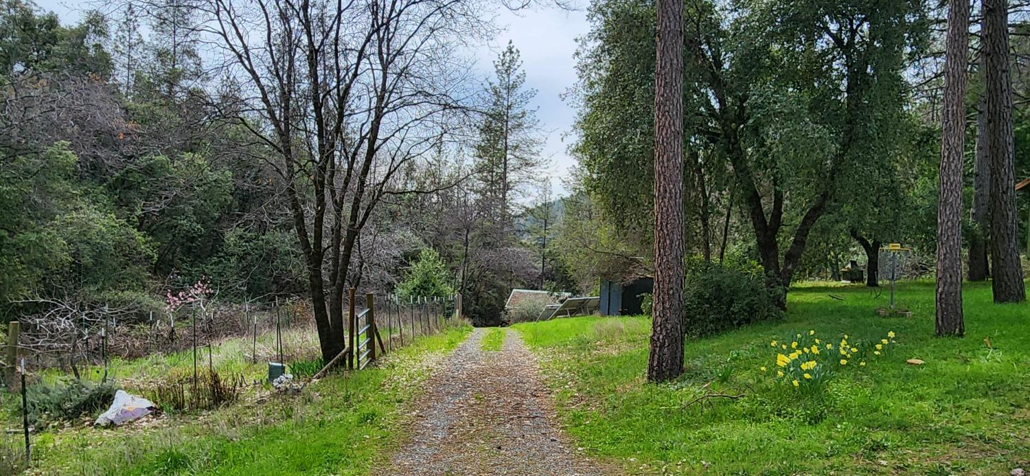 Quarry Turn Road, Foresthill, California image 4