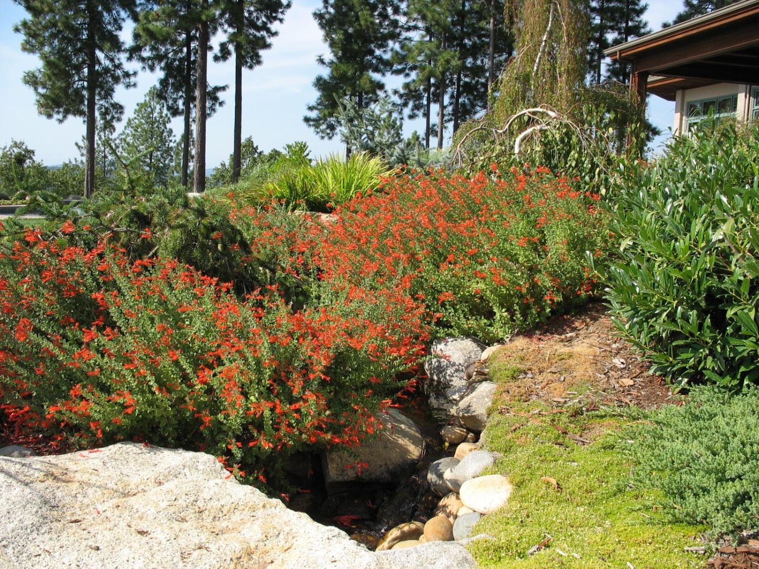 Detail Gallery Image 63 of 99 For 15160 Applewood Ln, Nevada City,  CA 95959 - 4 Beds | 4/1 Baths