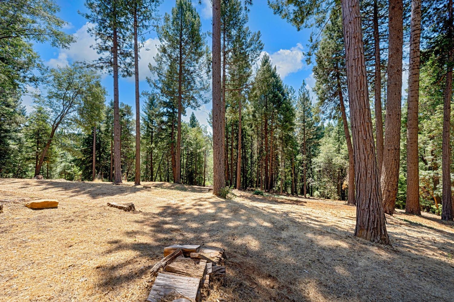 Detail Gallery Image 31 of 36 For 2501 Newhouse, Pollock Pines,  CA 95726 - 2 Beds | 1/2 Baths