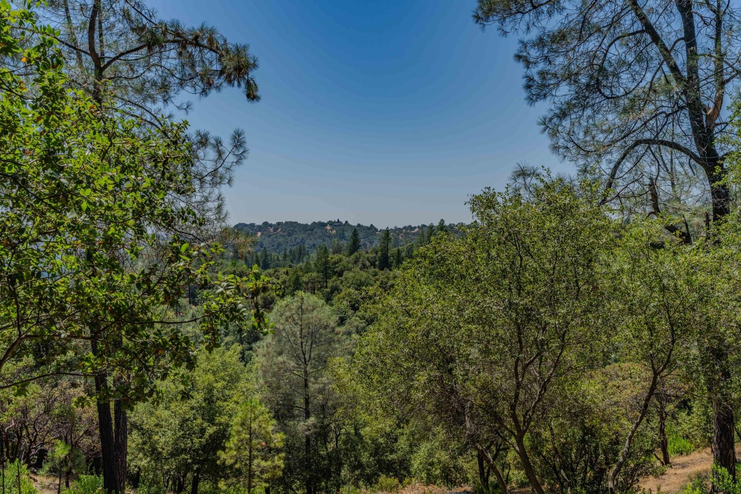 Sutter Highlands Drive, Sutter Creek, California image 24