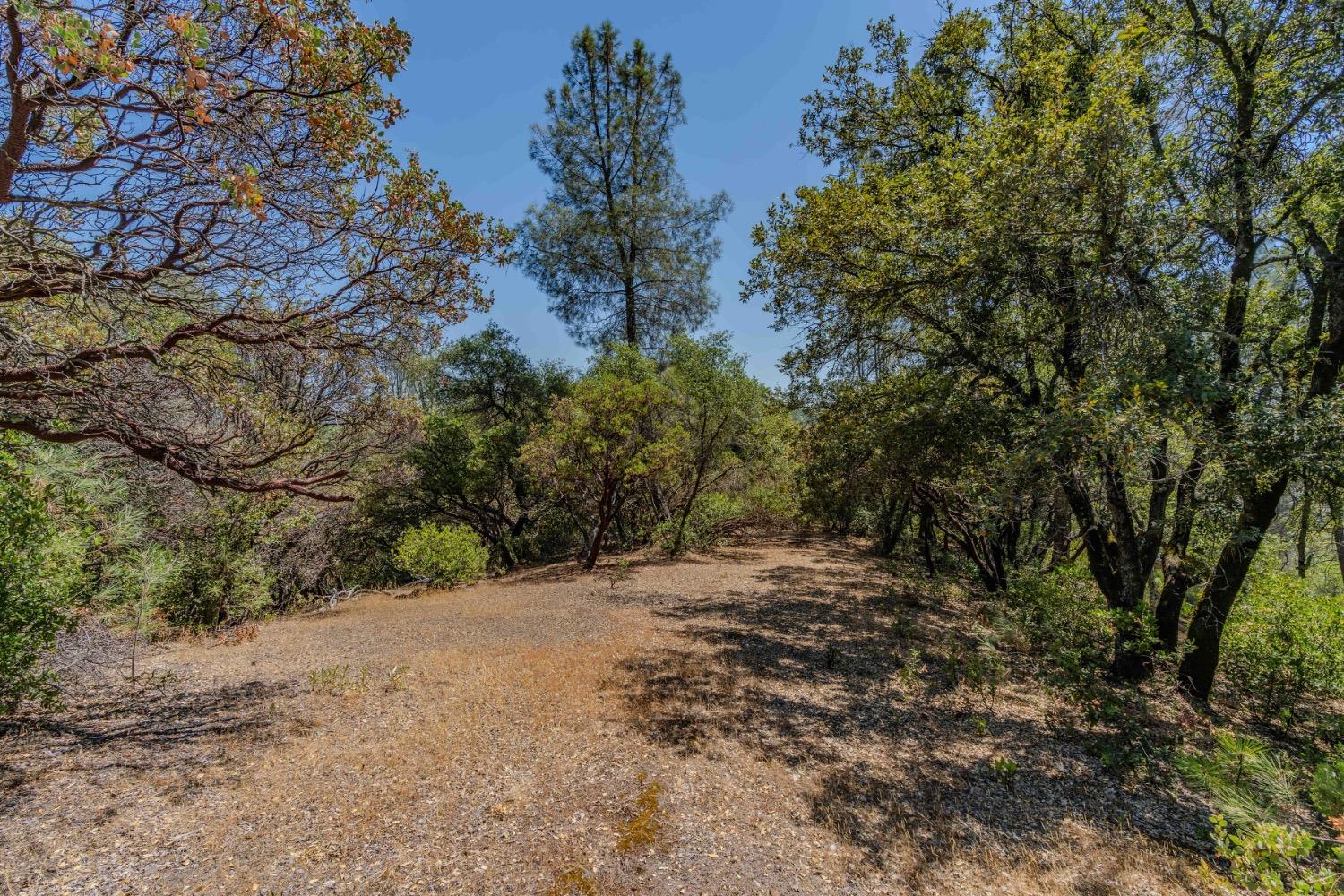 Sutter Highlands Drive, Sutter Creek, California image 3