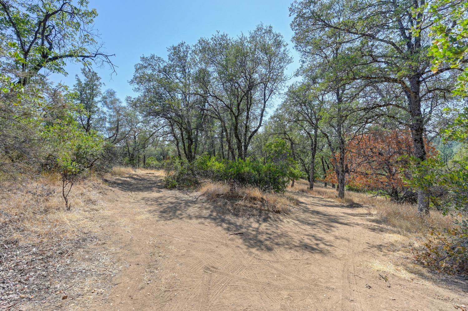 Detail Gallery Image 56 of 96 For 19658 Cedar Pines Dr, Fiddletown,  CA 95629 - 3 Beds | 2 Baths