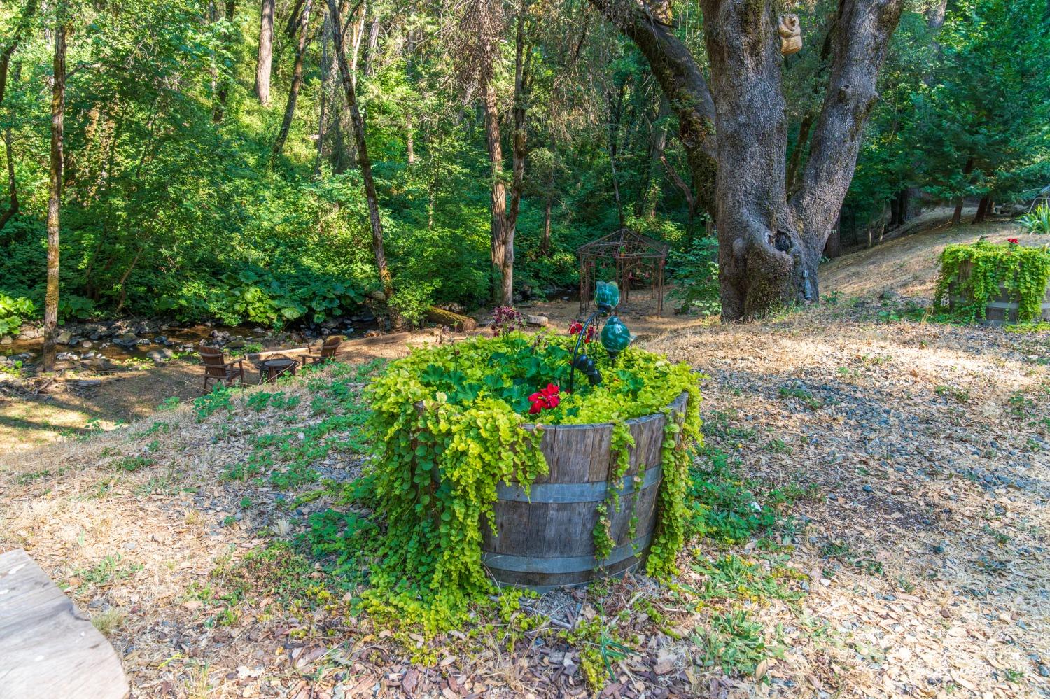 Detail Gallery Image 40 of 56 For 19728 Noatak Canyon Way, Grass Valley,  CA 95945 - 3 Beds | 2 Baths