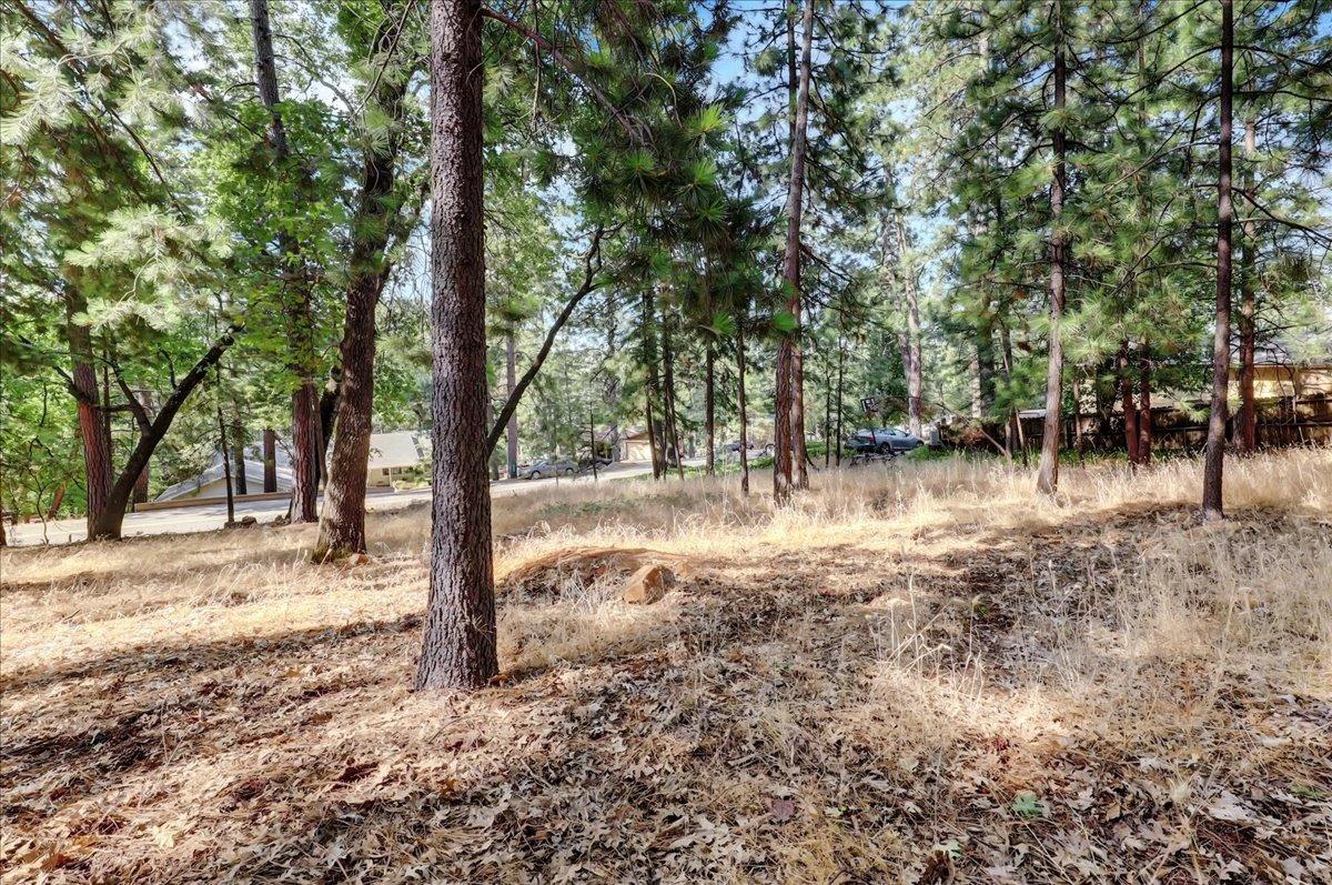 Detail Gallery Image 14 of 21 For 15696 Terren Ct, Grass Valley,  CA 95949 - – Beds | – Baths