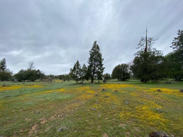 Detail Gallery Image 21 of 37 For 20455 Ponderosa Way, Fiddletown,  CA 95629 - 3 Beds | 2 Baths