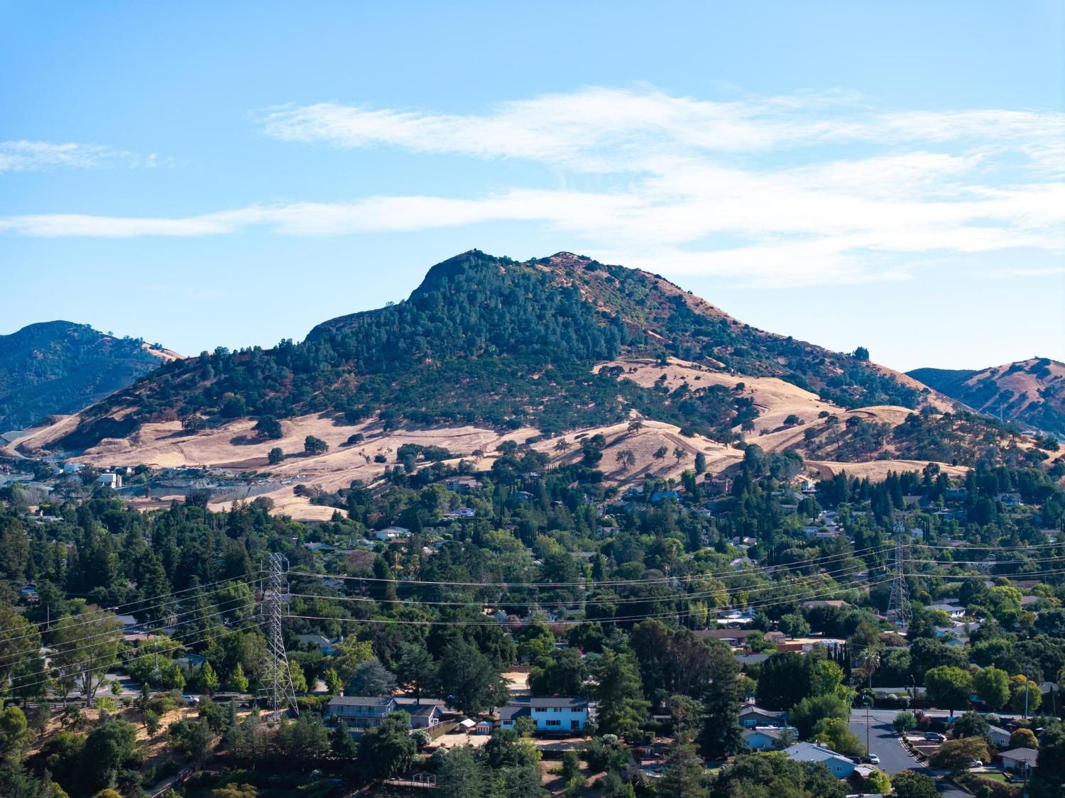 Detail Gallery Image 46 of 46 For 1512 N Mitchell Canyon Rd, Clayton,  CA 94517 - 4 Beds | 2/1 Baths