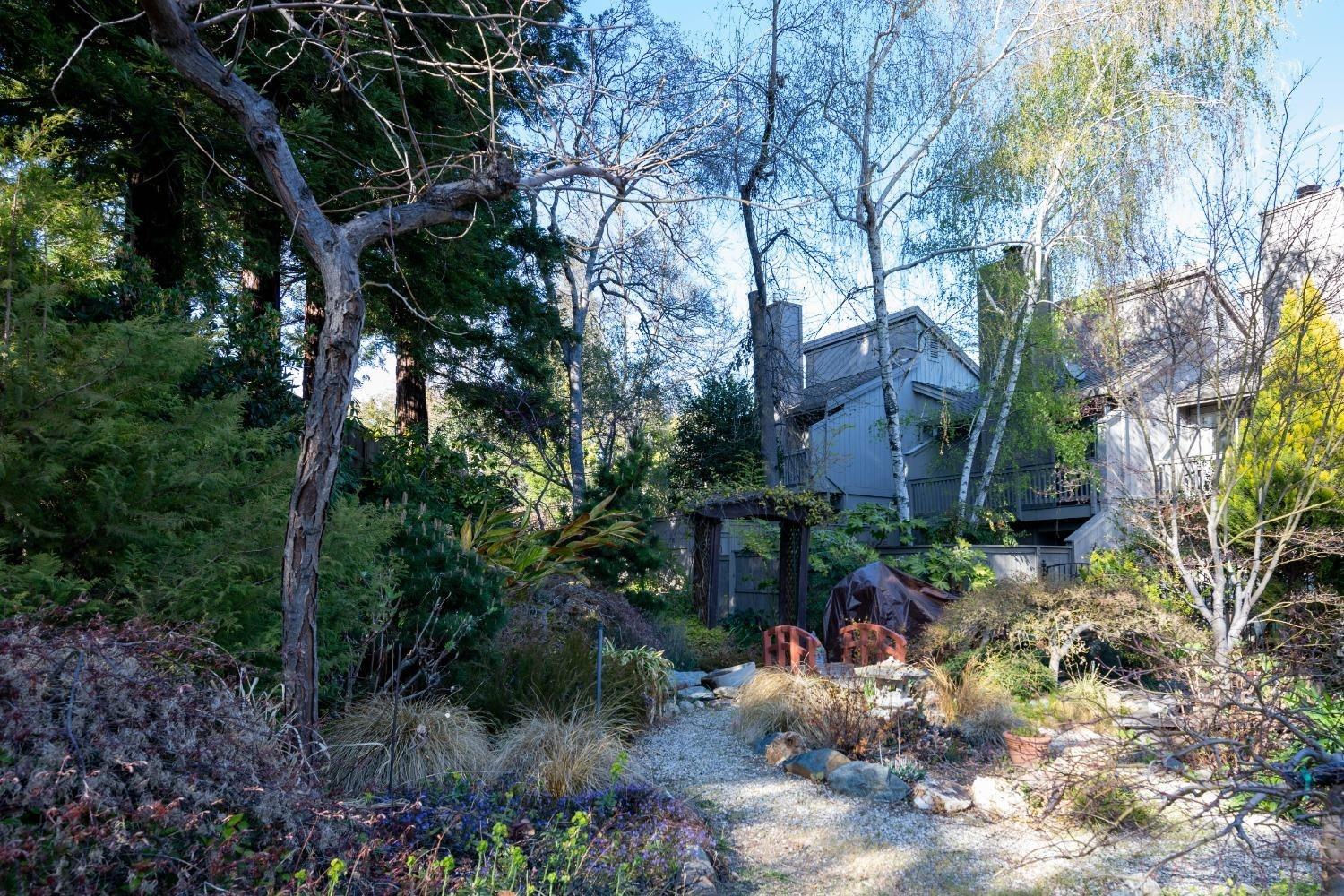 Auburn Ravine Road, Auburn, California image 25