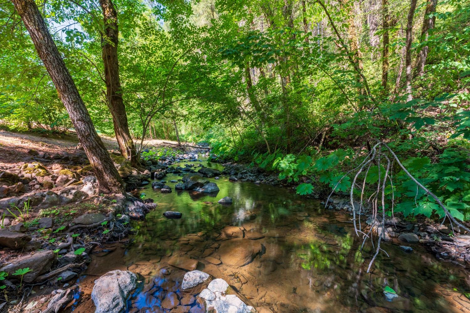 Detail Gallery Image 4 of 56 For 19728 Noatak Canyon Way, Grass Valley,  CA 95945 - 3 Beds | 2 Baths