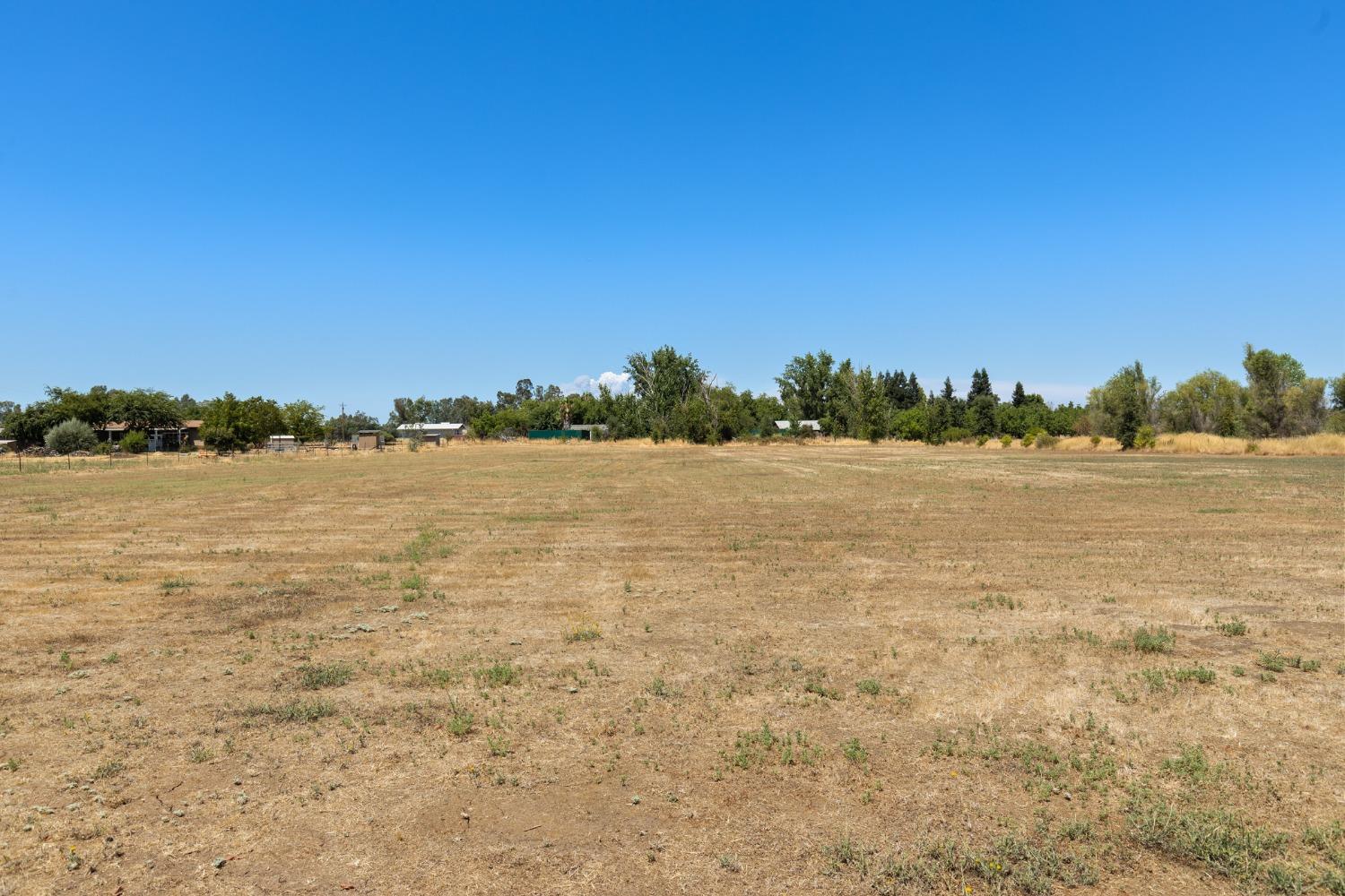 Watson Road, Biggs, California image 7