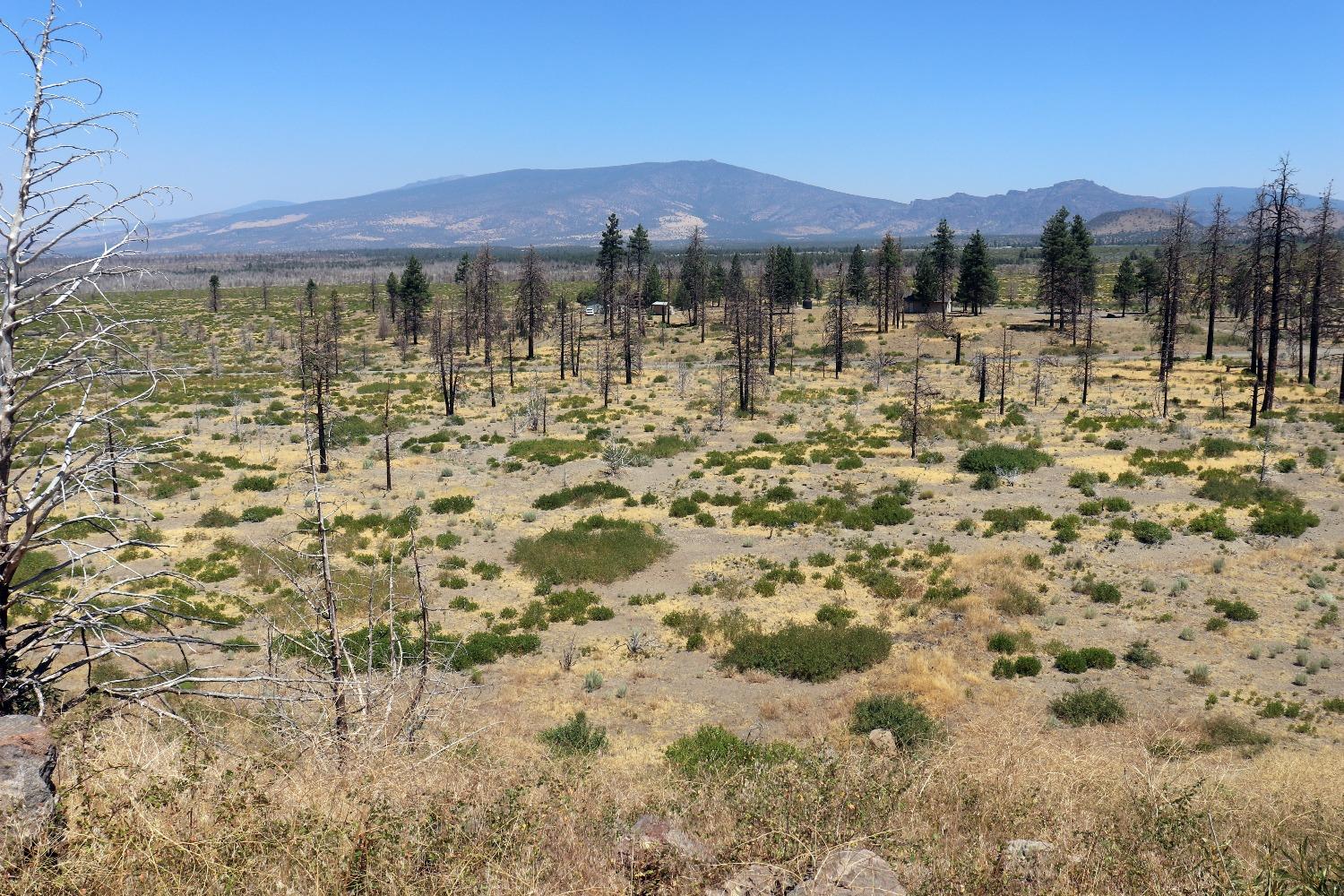 Juniper Valley Drive, Weed, California image 2