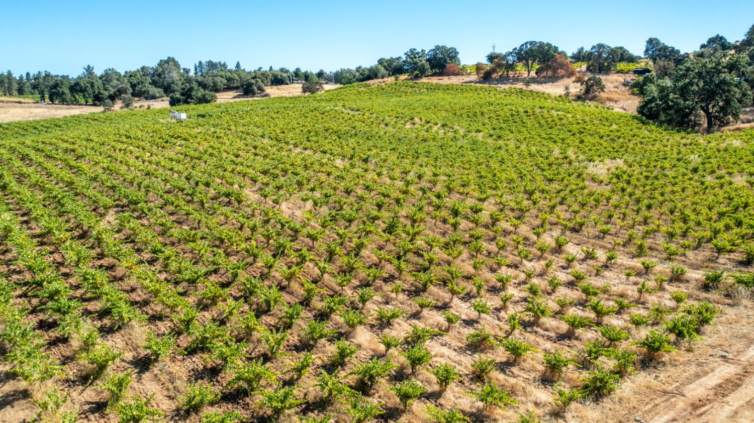 Detail Gallery Image 11 of 62 For 19940 Shenandoah School Rd, Plymouth,  CA 95669 - 3 Beds | 2 Baths