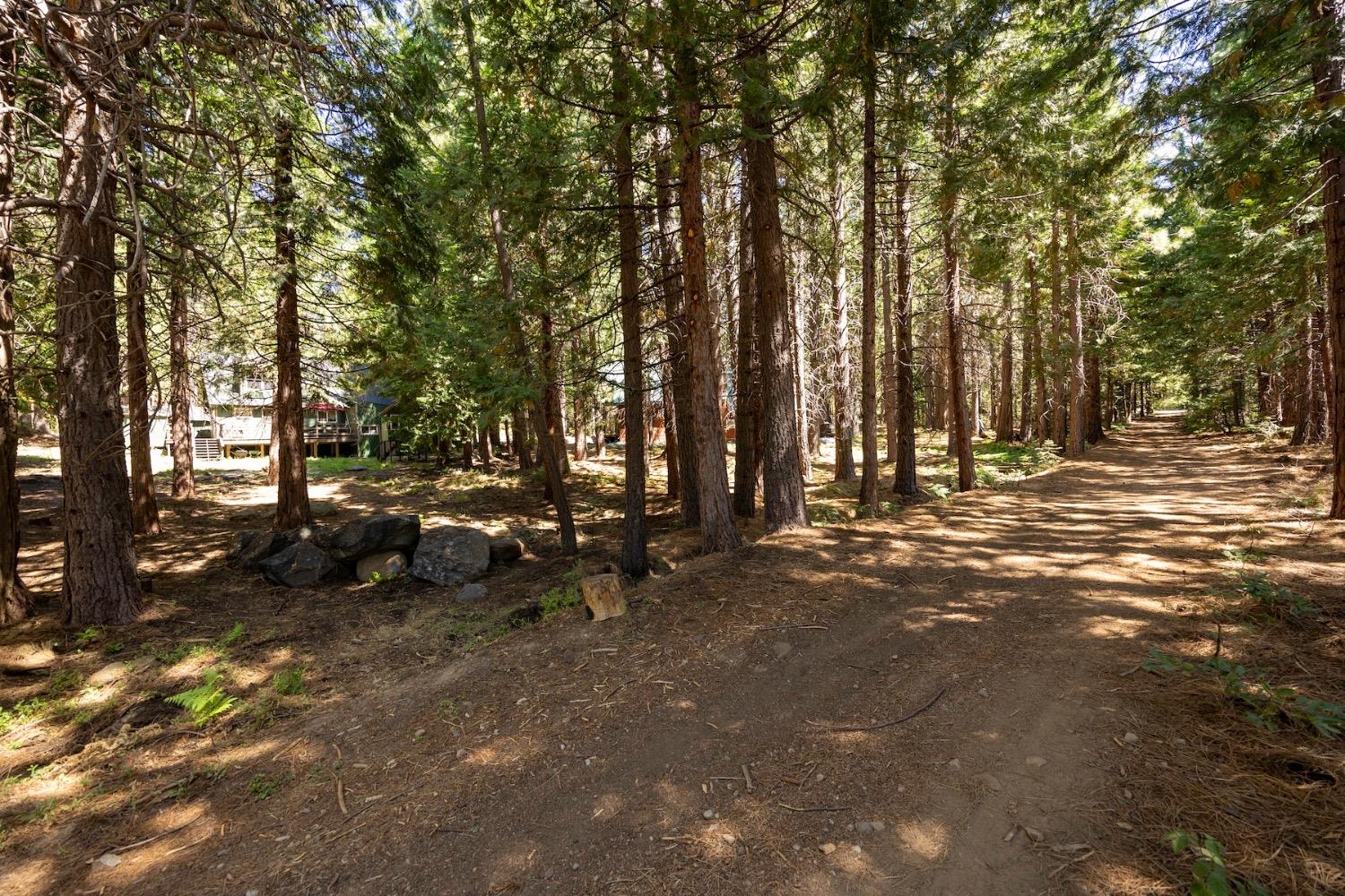 Skyline, Emigrant Gap, California image 49