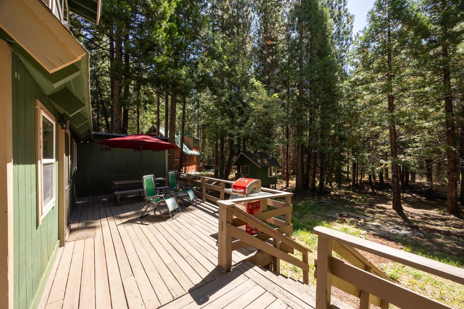 Skyline, Emigrant Gap, California image 46