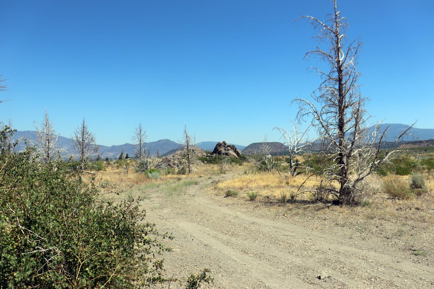 Juniper Valley Drive, Weed, California image 4