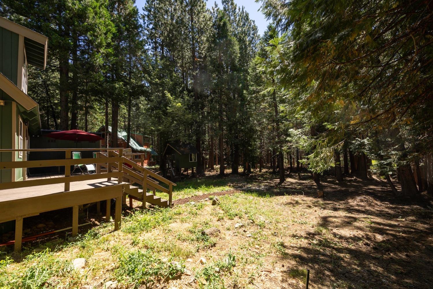 Skyline, Emigrant Gap, California image 47